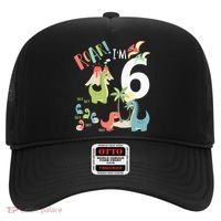 6 Year Old Roar Im 6 6th Birthday Boy T Rex Dinosaur Hat thumb 0