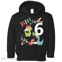 6 Year Old Roar Im 6 6th Birthday Boy T Rex Dinosaur Toddler Hoodie thumb 0