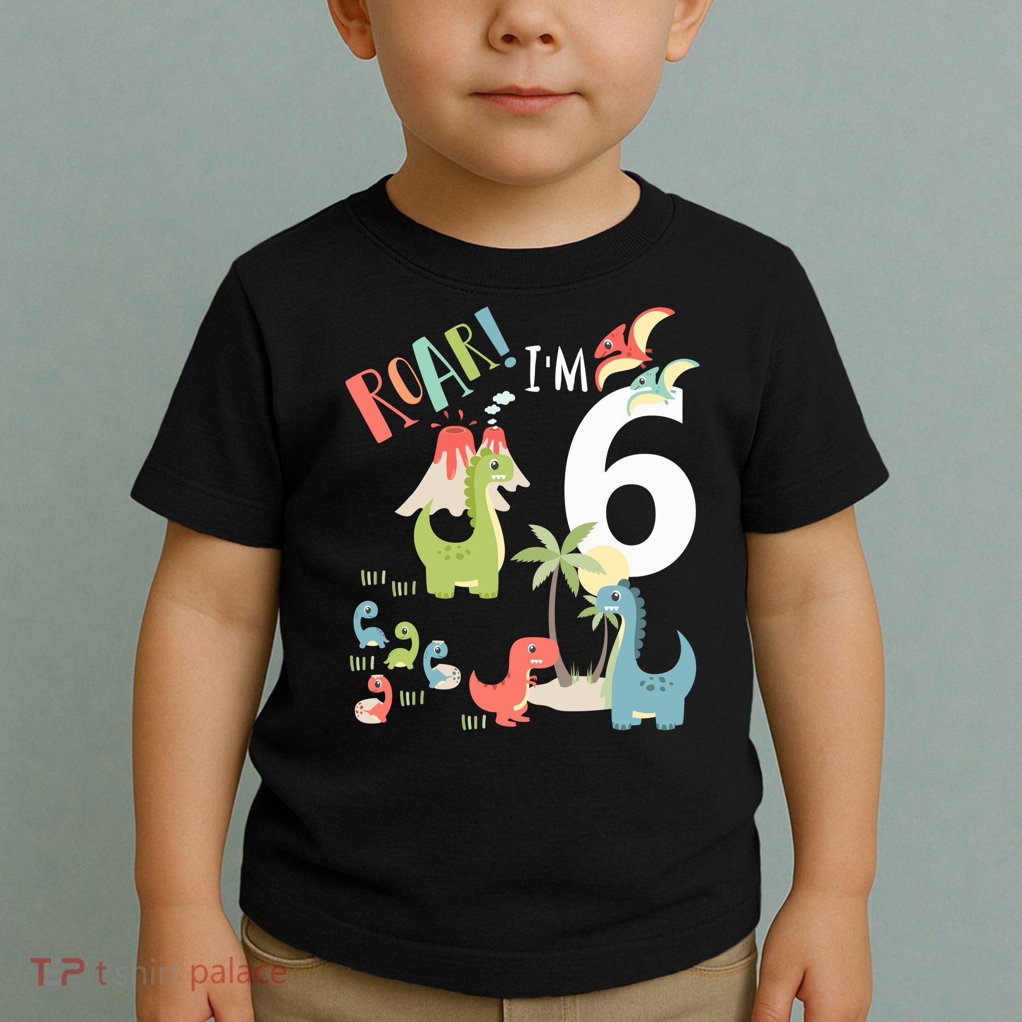 6 Year Old Roar Im 6 6th Birthday Boy T Rex Dinosaur Toddler T-Shirt