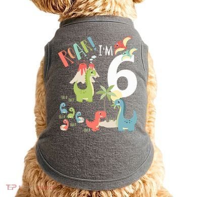 6 Year Old Roar Im 6 6th Birthday Boy T Rex Dinosaur Doggie Tank