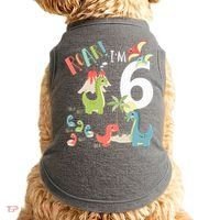 6 Year Old Roar Im 6 6th Birthday Boy T Rex Dinosaur Doggie Tank thumb 0