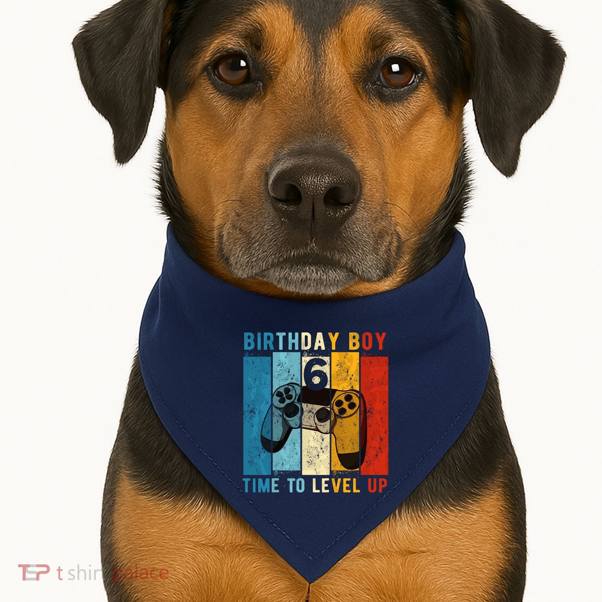 6 Year Old Birthday Boy 6 Time To Level Up 6th Birthday Boy USA-Made Doggie Bandana