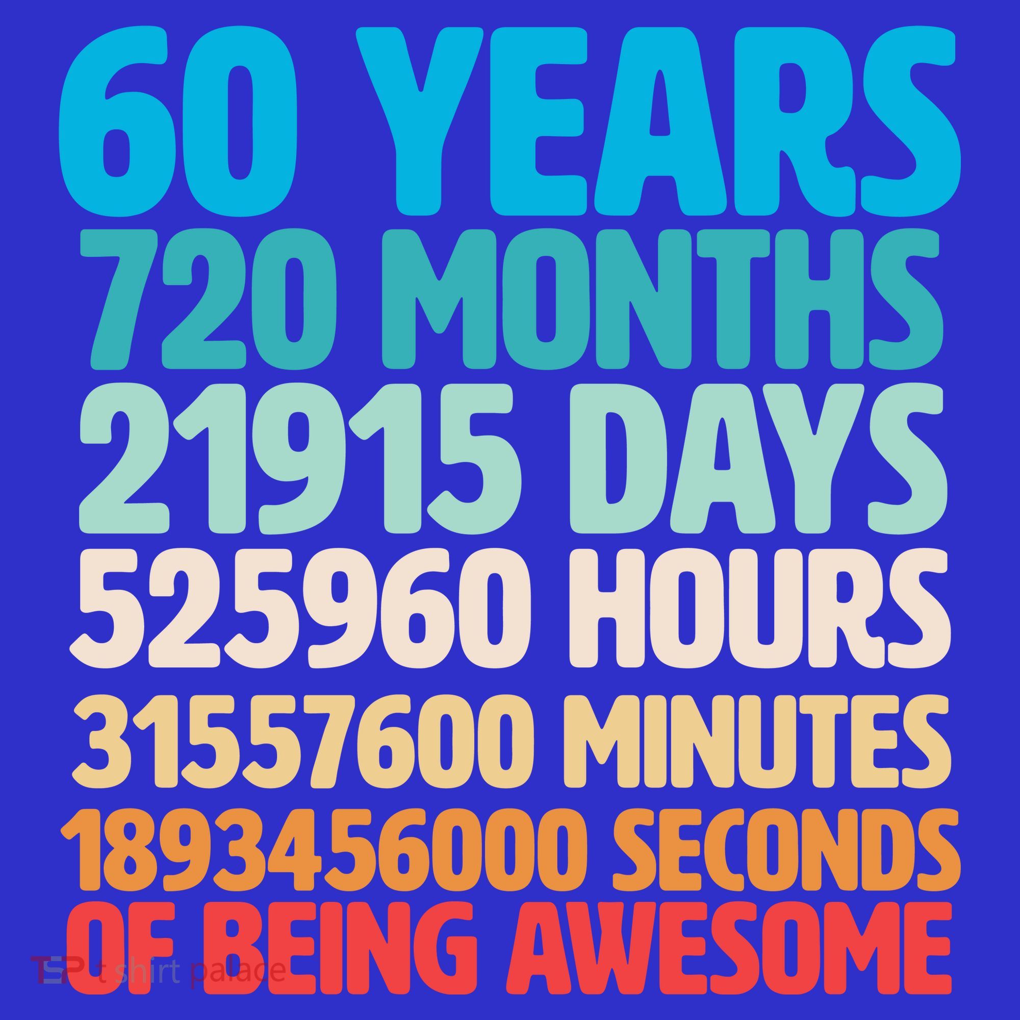 60 Years Of Being Awesome 60th Birthday Time Breakdown V-Neck T-Shirt