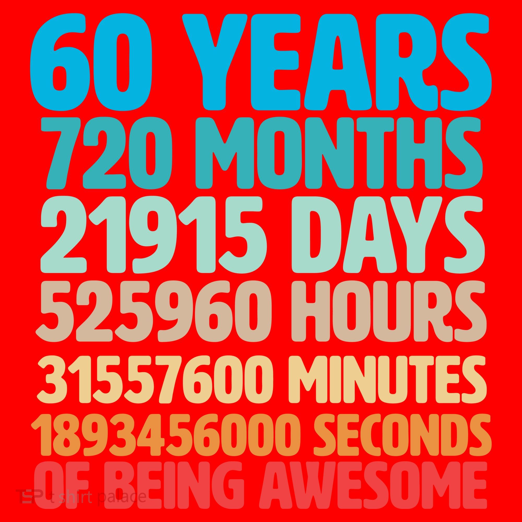 60 Years Of Being Awesome 60th Birthday Time Breakdown Santa Hat