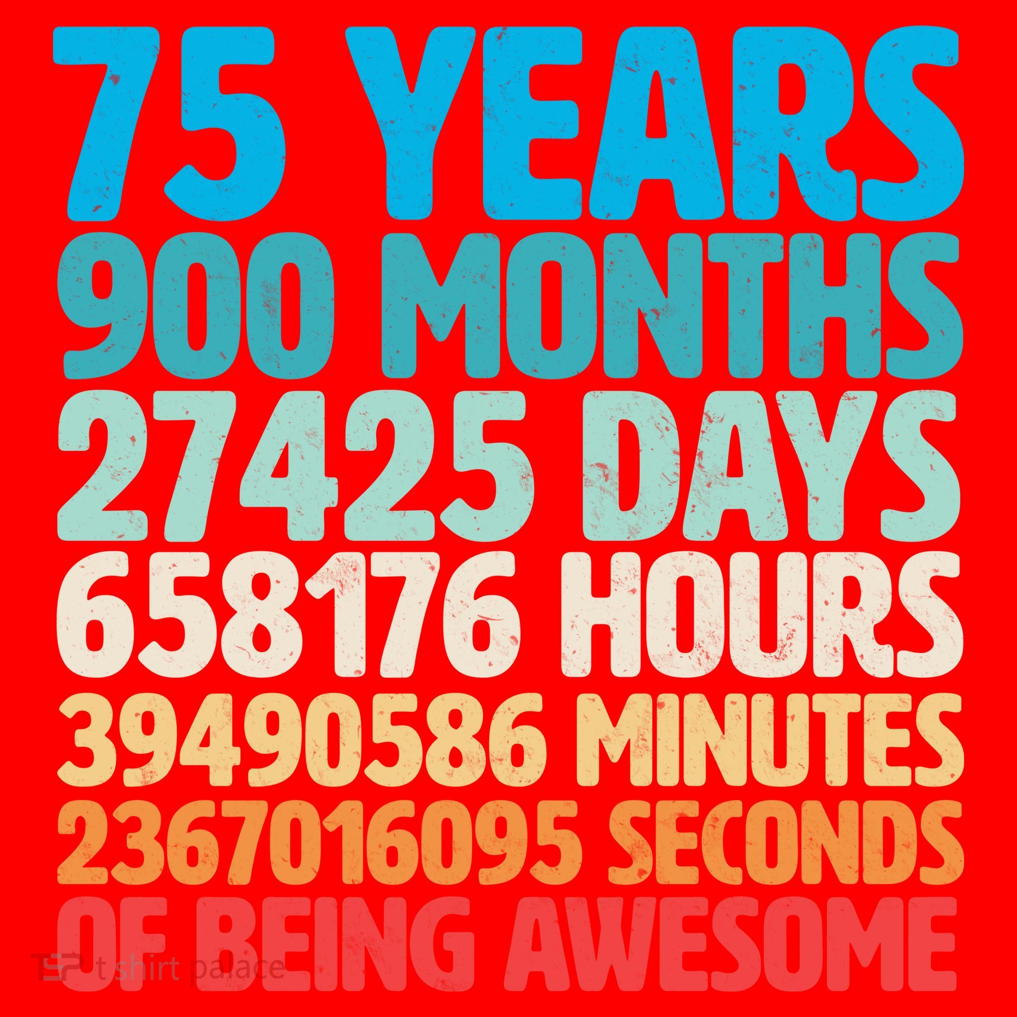 75 Years Of Being Awesome Birthday Time Breakdown Santa Hat