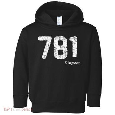 781 Area Code Distressed Kingston Massachusetts Toddler Hoodie