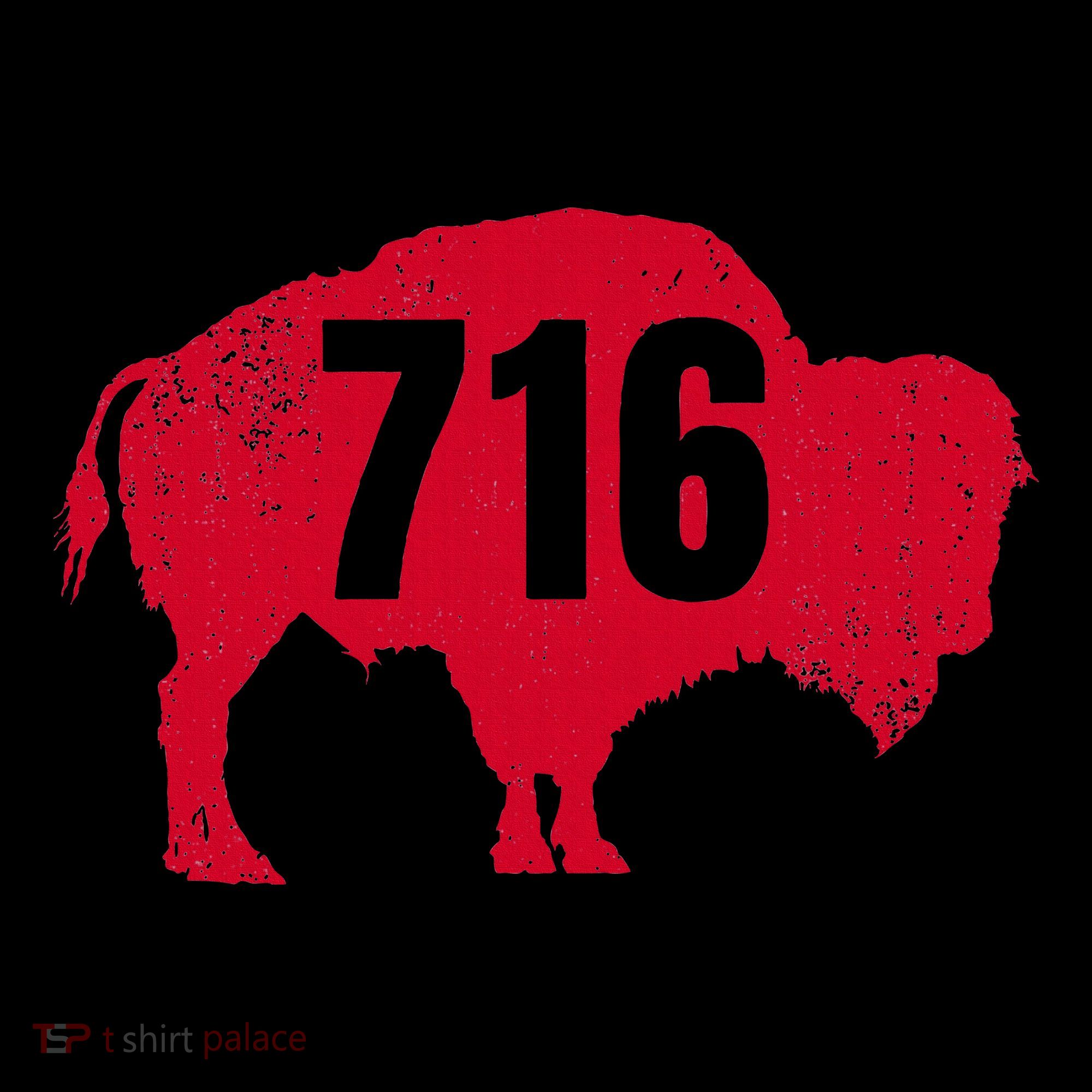 716 Area Code Buffalo Kids Long Sleeve Shirt