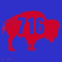 716 Area Code Buffalo New York Bflo Wny Meaningful Gift Toddler Hoodie thumb 2