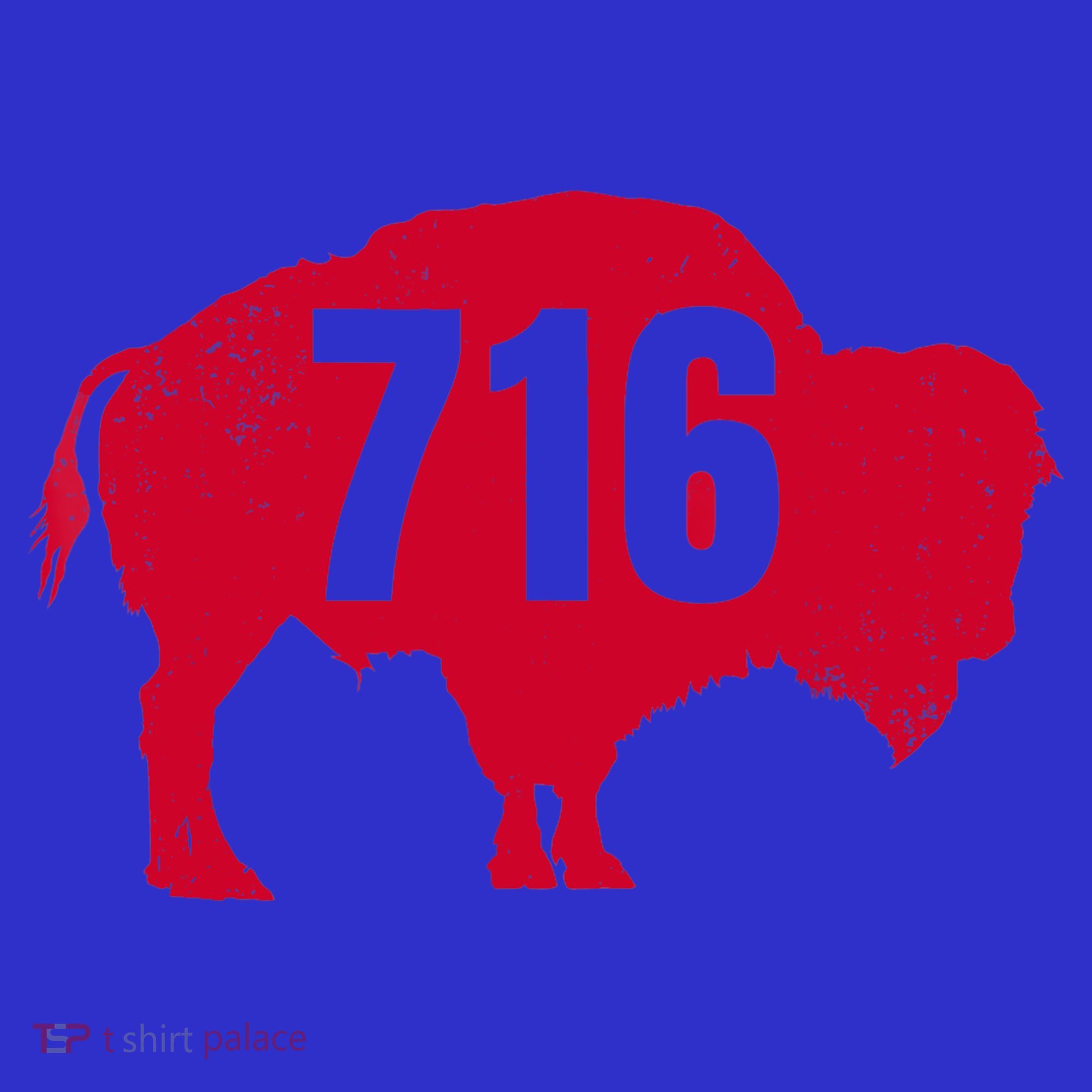 716 Area Code Buffalo New York Bflo Wny Meaningful Gift Women's Long Sleeve Shirt