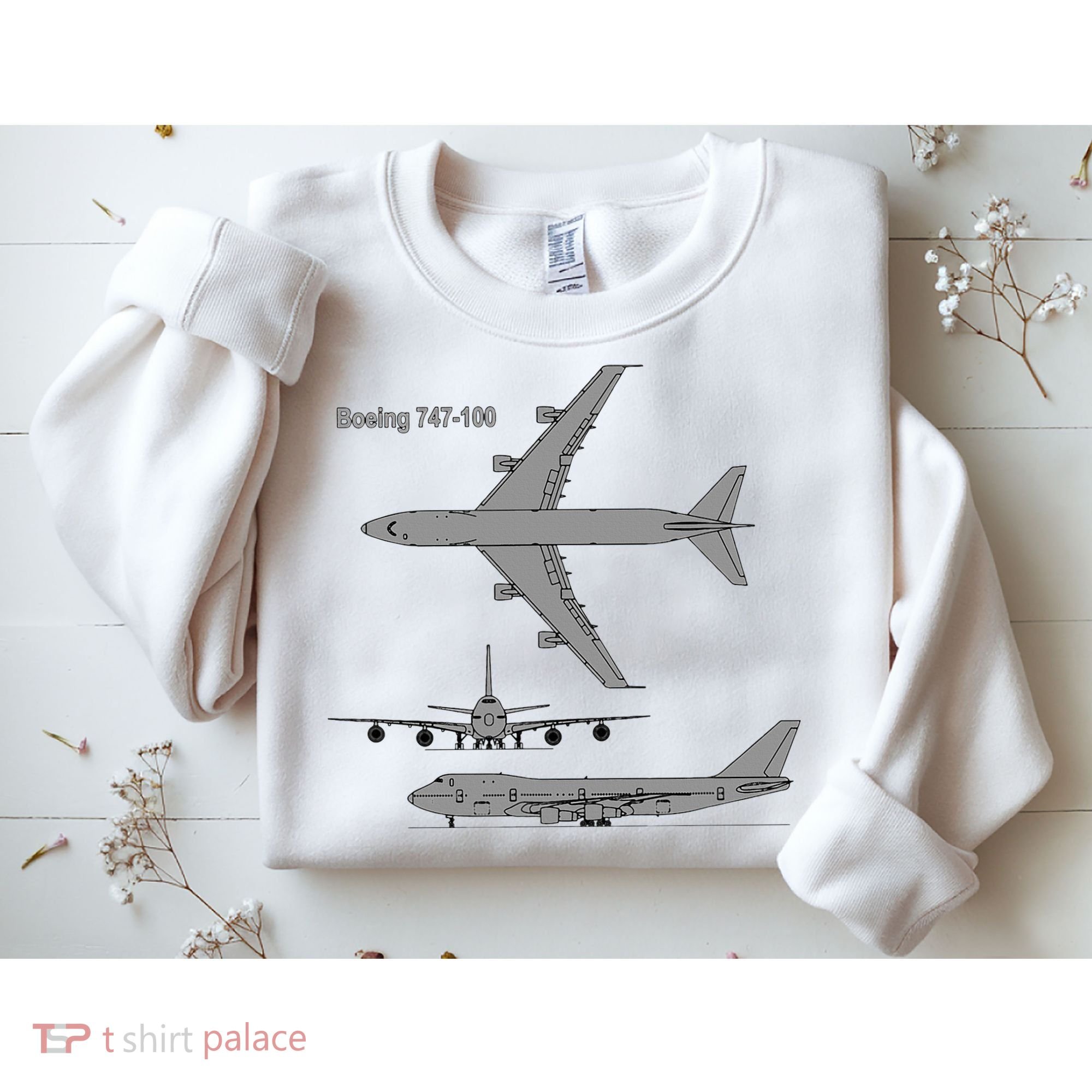 747 Airplane Hand Drawn Graphic Plane Sweatshirt