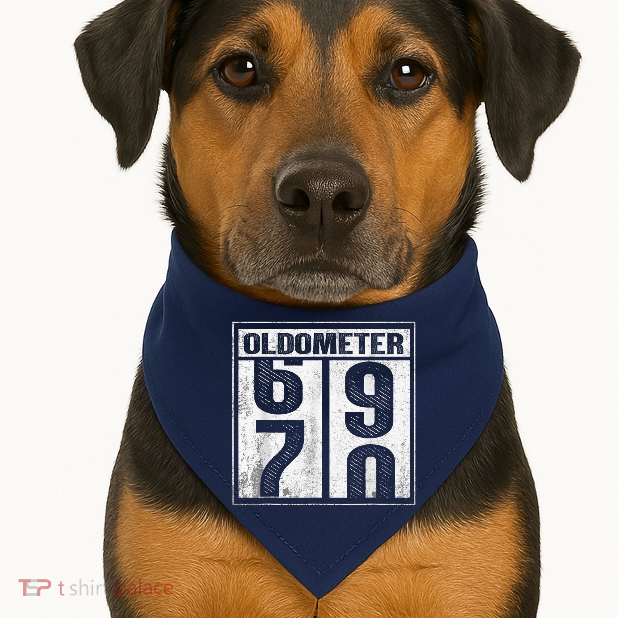 70th Birthday Funny Gift Oldometer 6970 USA-Made Doggie Bandana