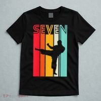 7th Birthday Gift Karate Retro Taekwondo Martial T-Shirt thumb 5