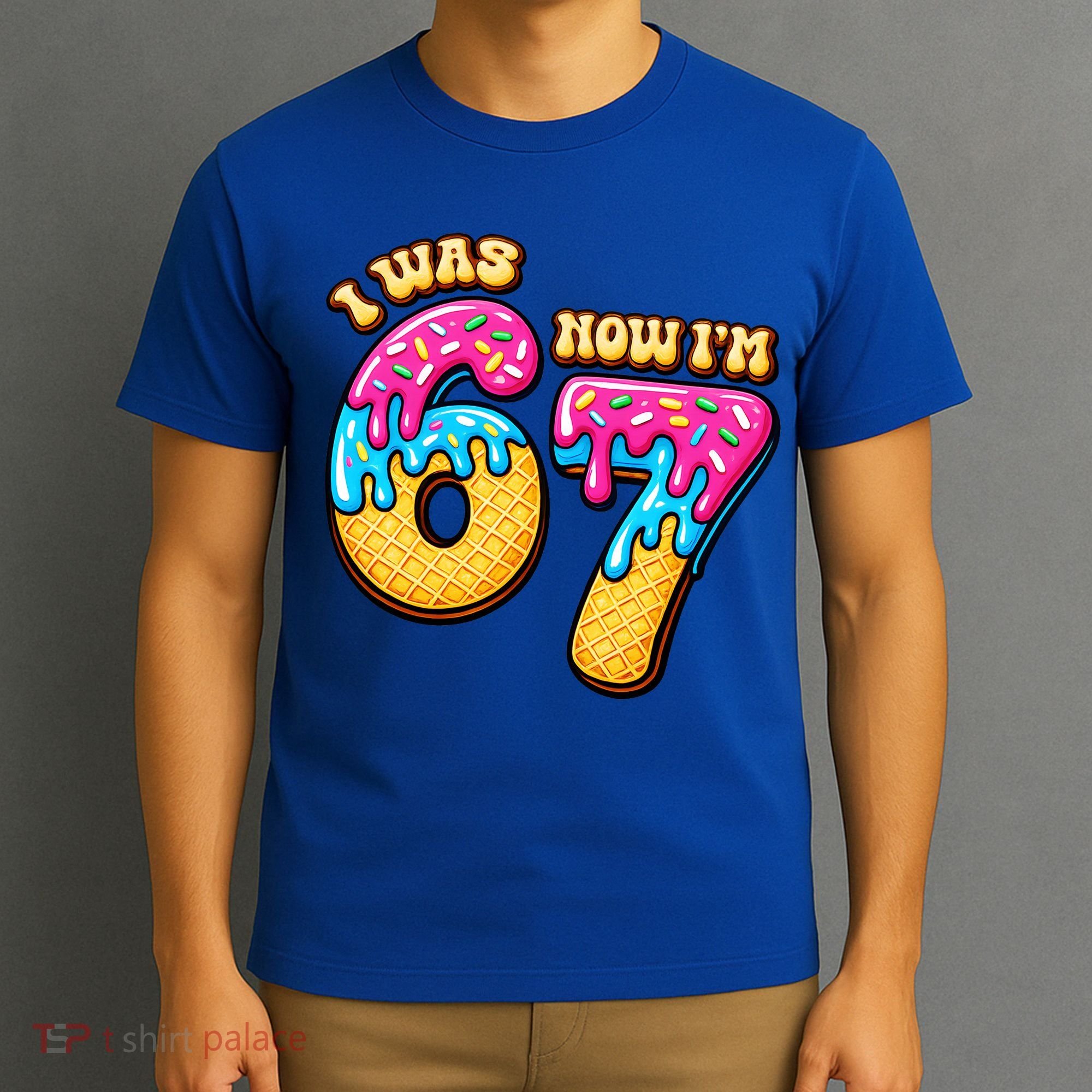 7th Birthday I Was 6 Now I'm 7 Years Old 67 Meme Funny T-Shirt