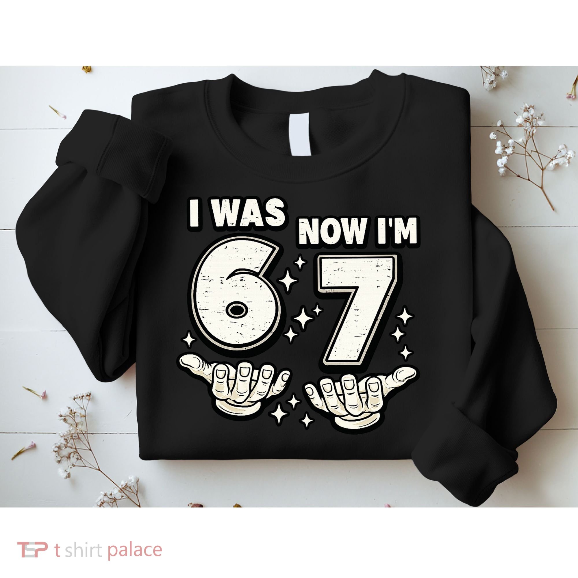 7th Birthday I Was 6 Now Im 7 Six Seven 67 Meme Sweatshirt