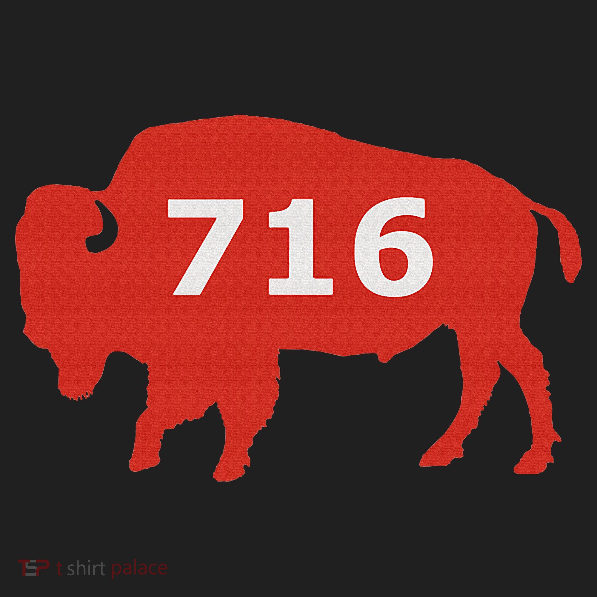 716 Buffalo Ny Beanie