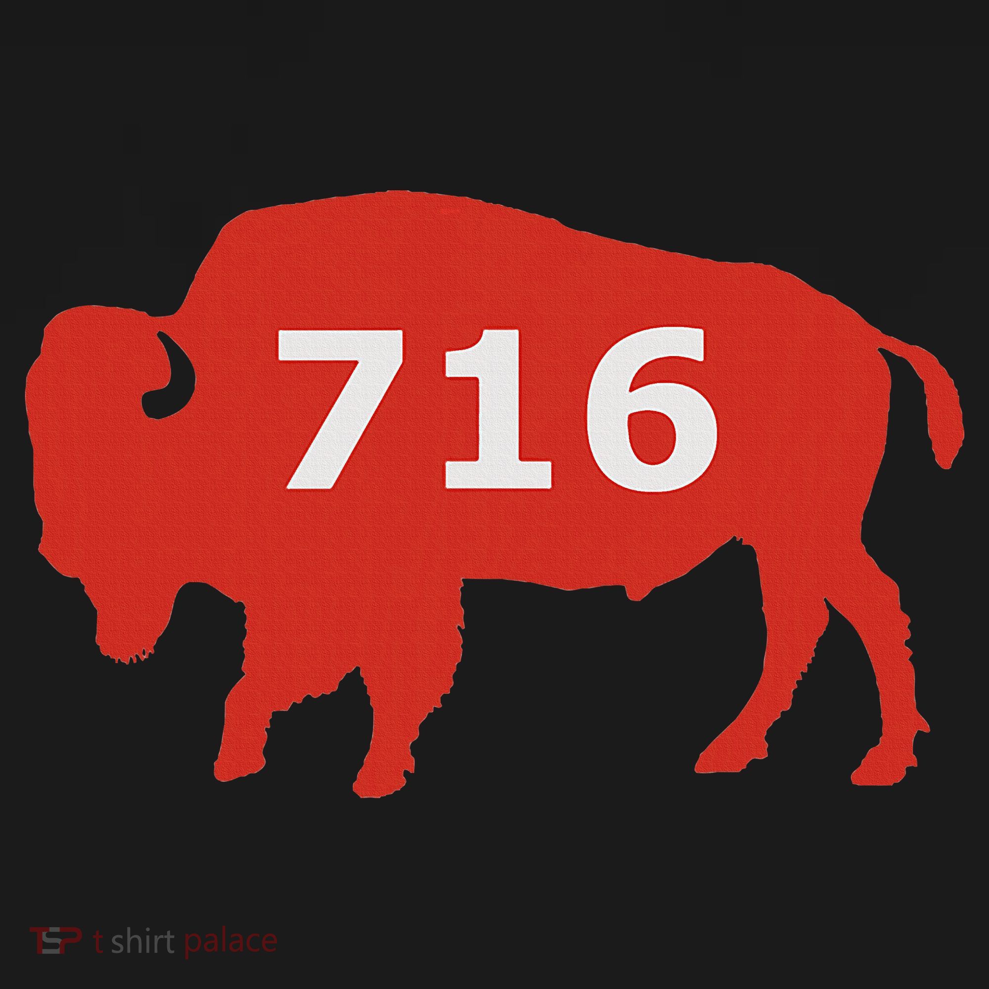 716 Buffalo Ny Polo