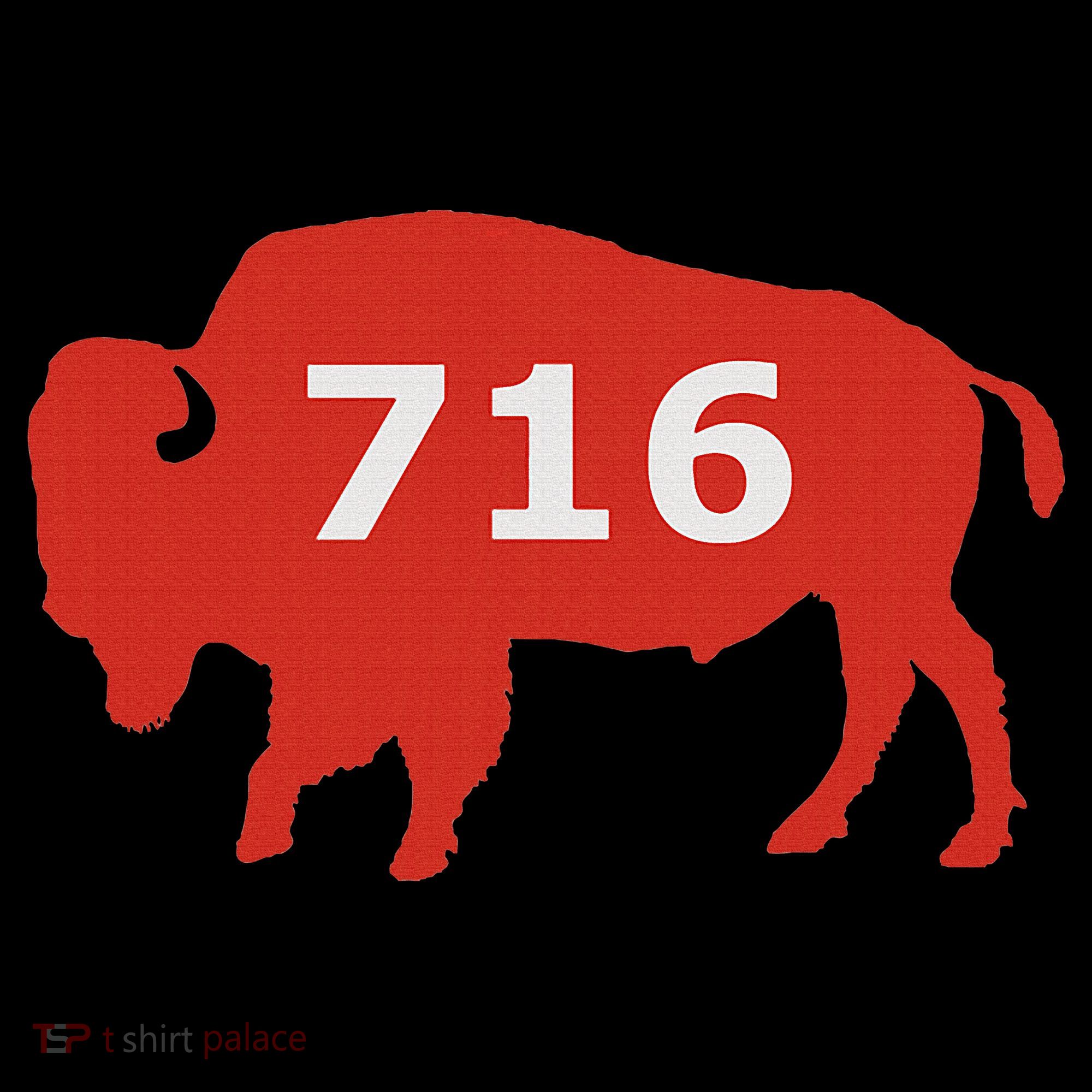 716 Buffalo Ny Ornament