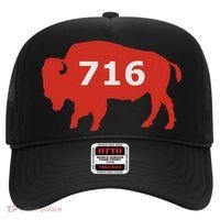 716 Buffalo Ny Hat thumb 0