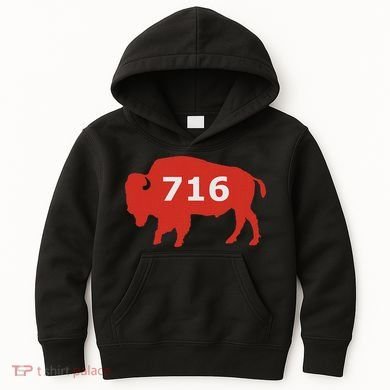 716 Buffalo Ny Kids Hoodie