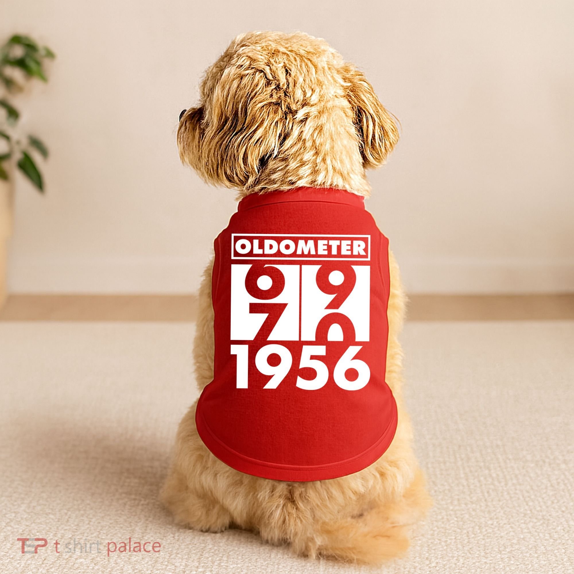 70th Birthday Oldometer 1956 Doggie Tank
