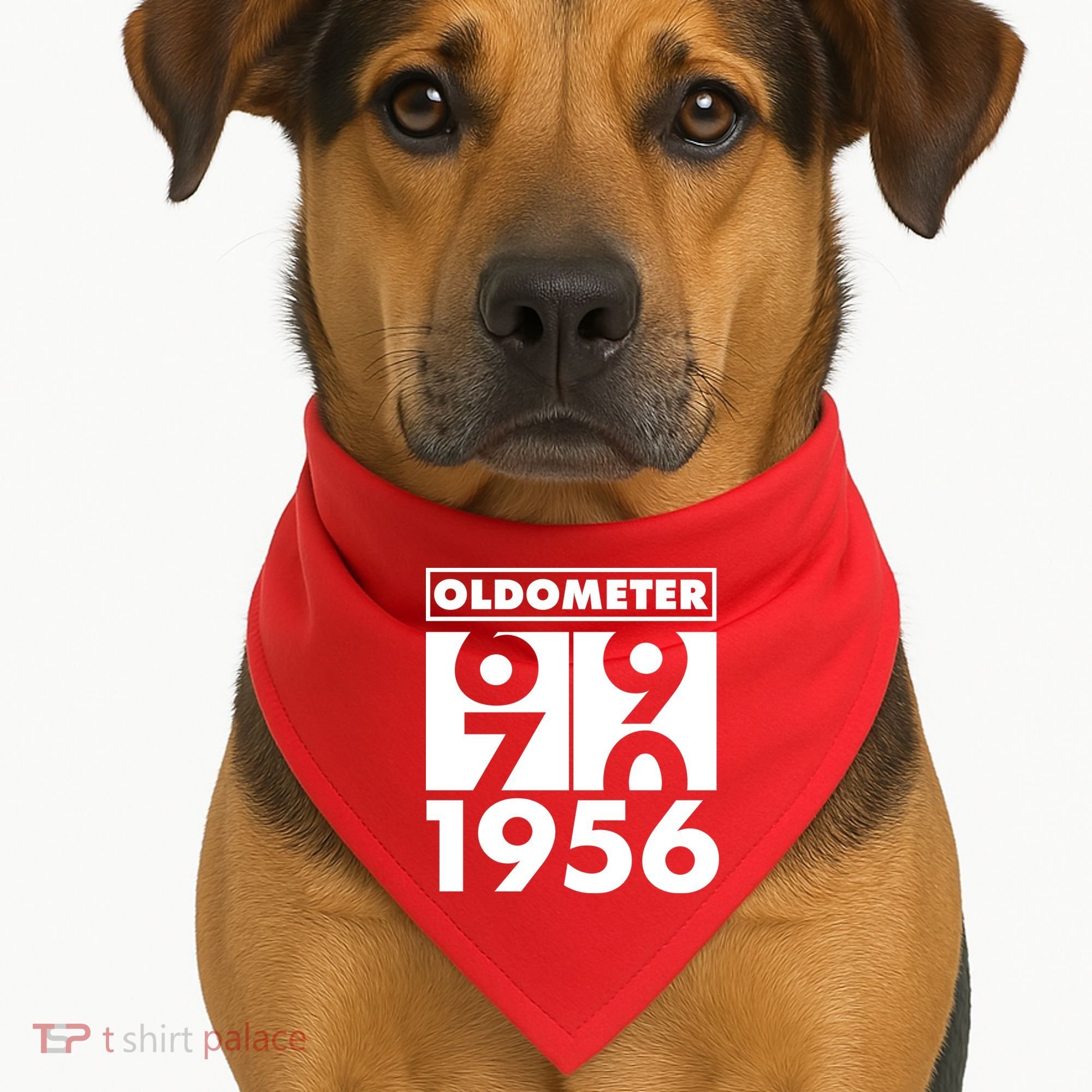 70th Birthday Oldometer 1956 USA-Made Doggie Bandana