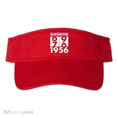 Visor