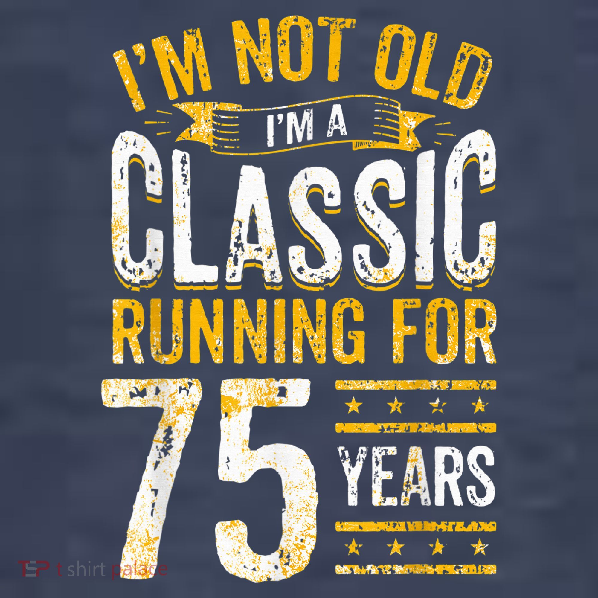 75th Birthday Present I 75 Year Old Classic Kids T-Shirt