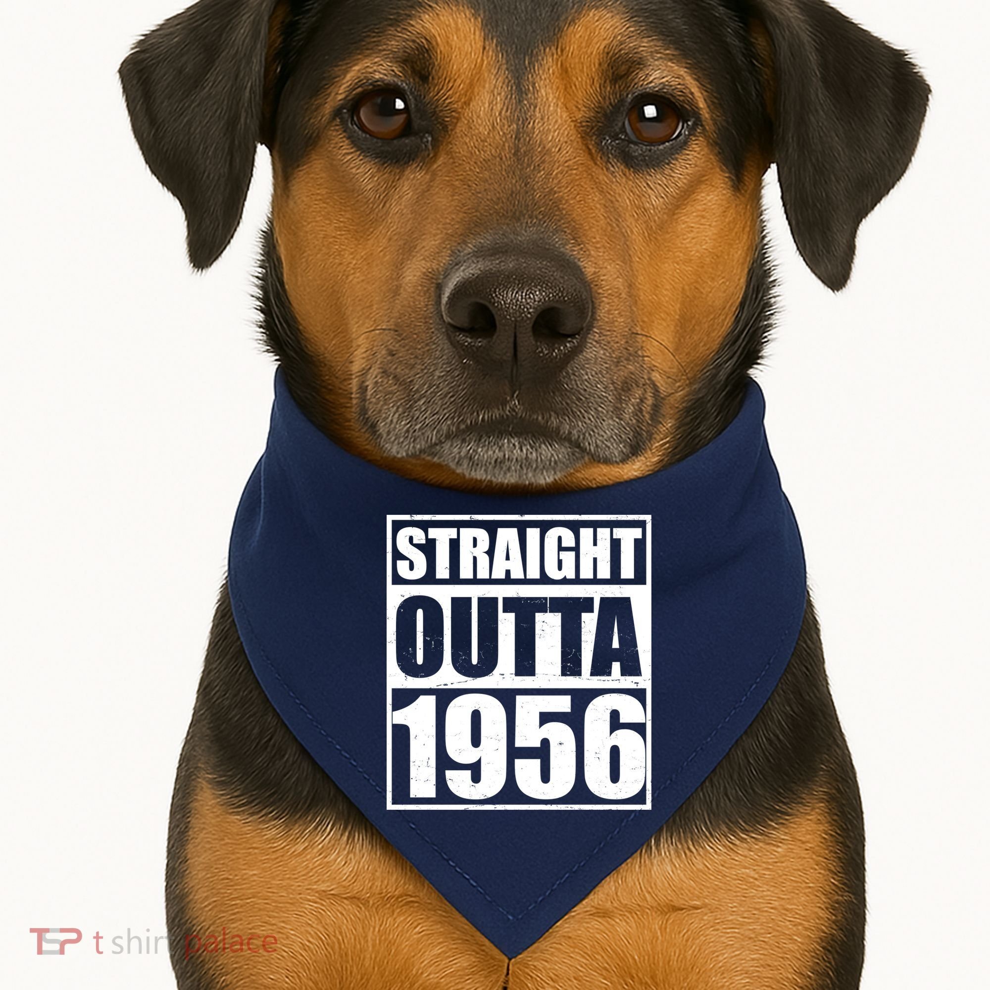 70th Birthday Straight Outta 1956 USA-Made Doggie Bandana