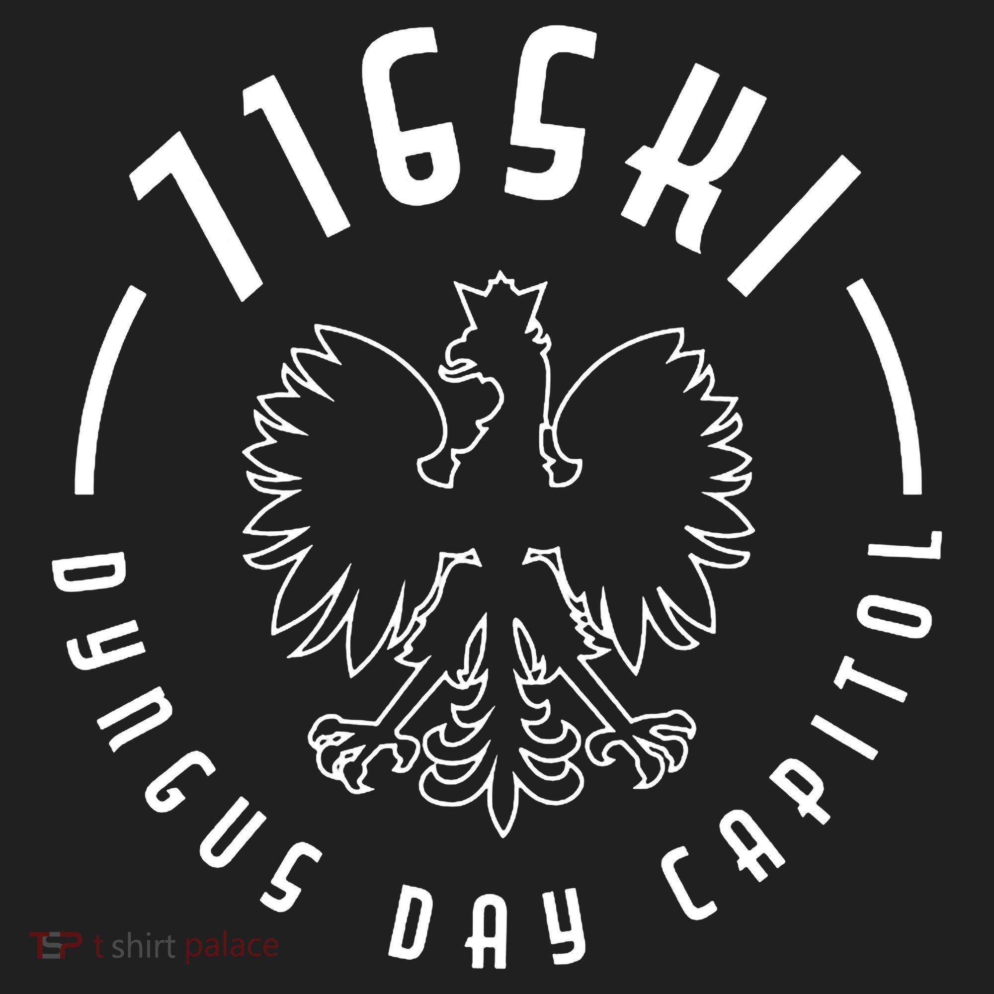 716ski Dyngus Day Capitol Buffalo NY Beanie