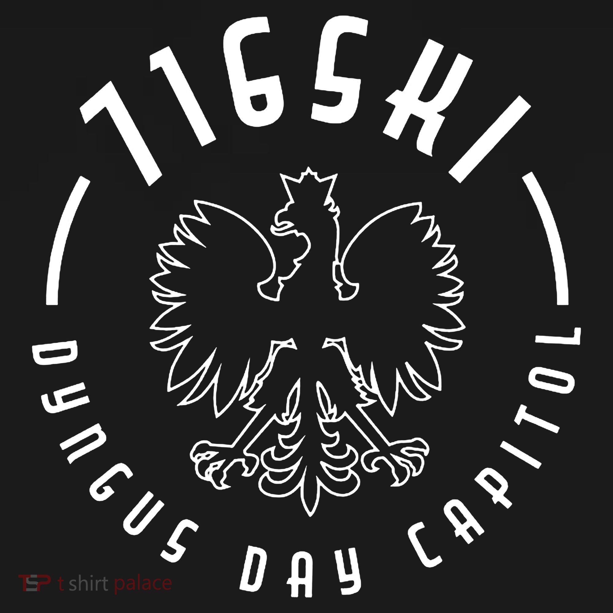 716ski Dyngus Day Capitol Buffalo NY Women's Hoodie