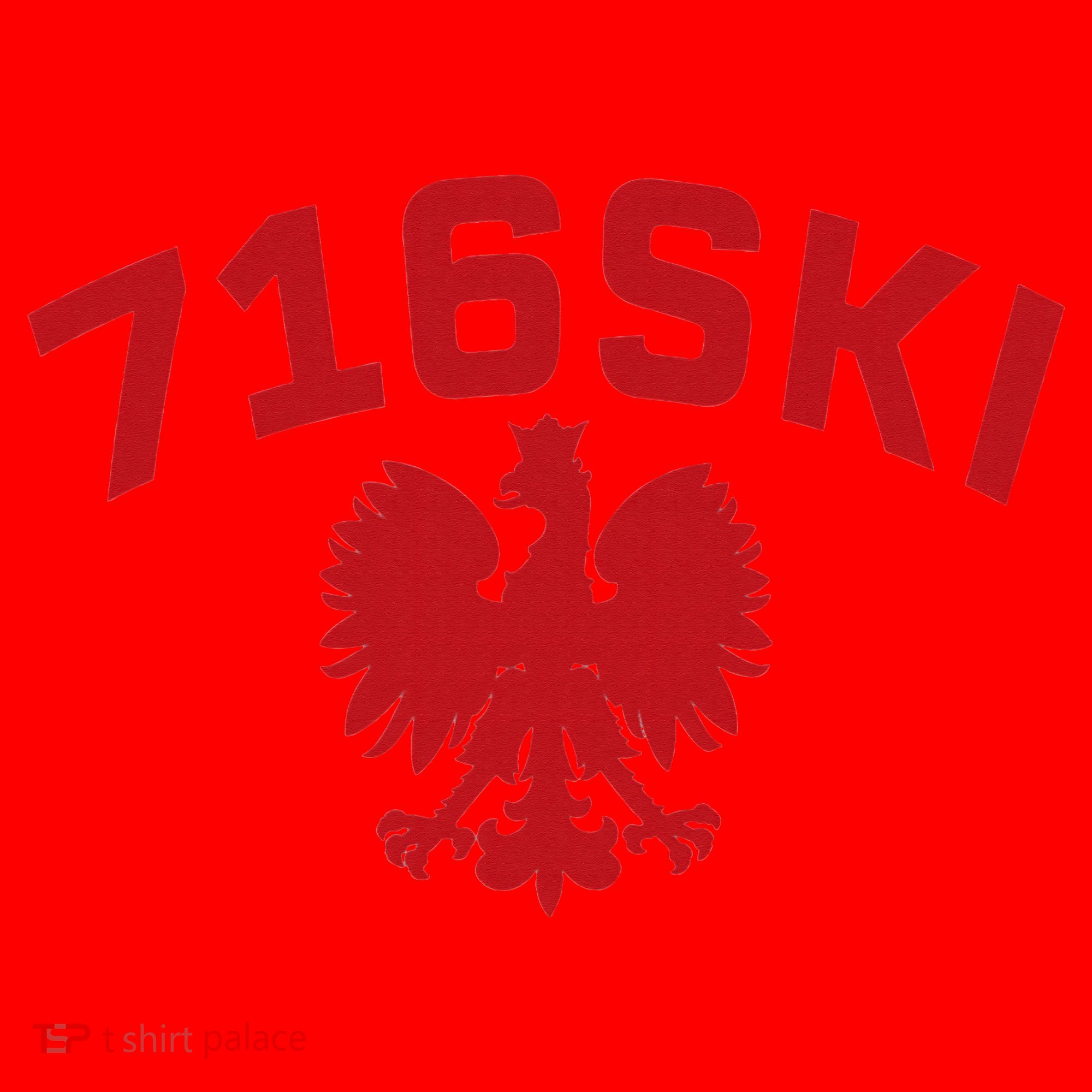 716SKI Dyngus Day Buffalo NY Polish Eagle Santa Hat
