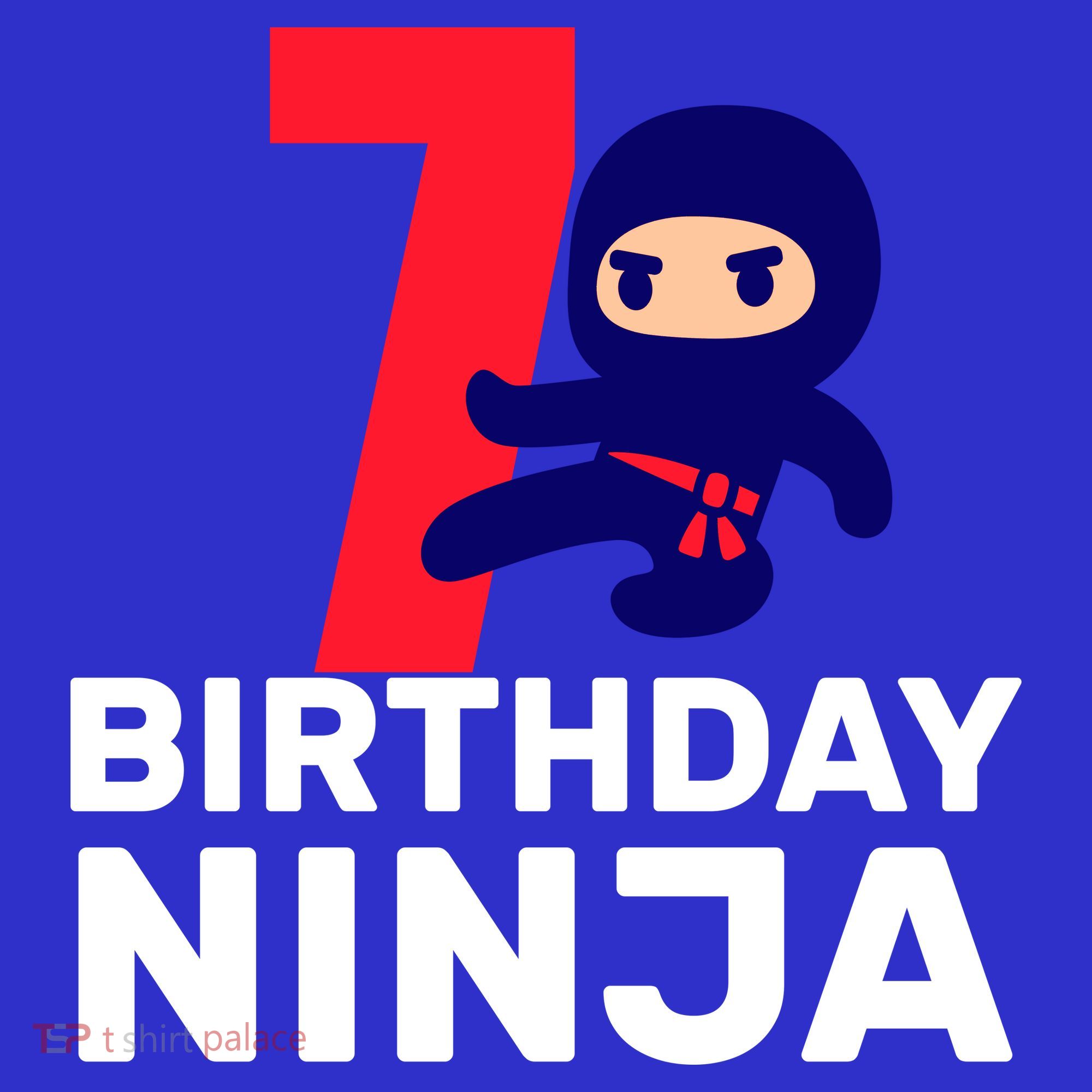 7th Birthday Ninja Visor