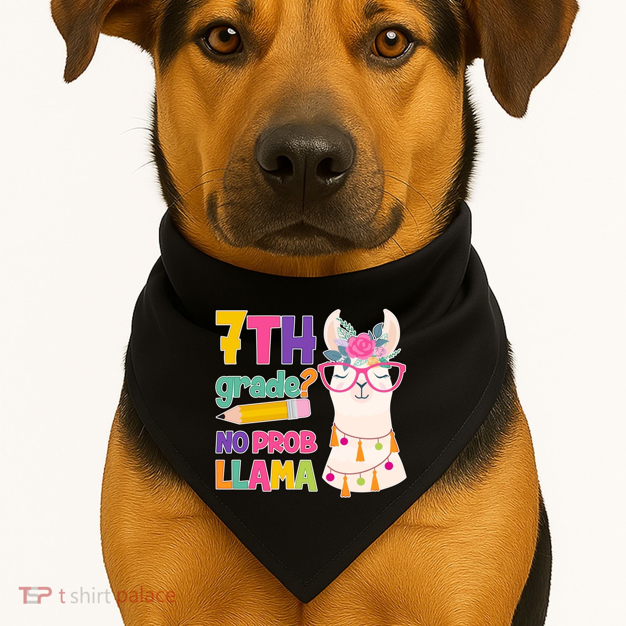 7th Grade? No Prob Llama USA-Made Doggie Bandana