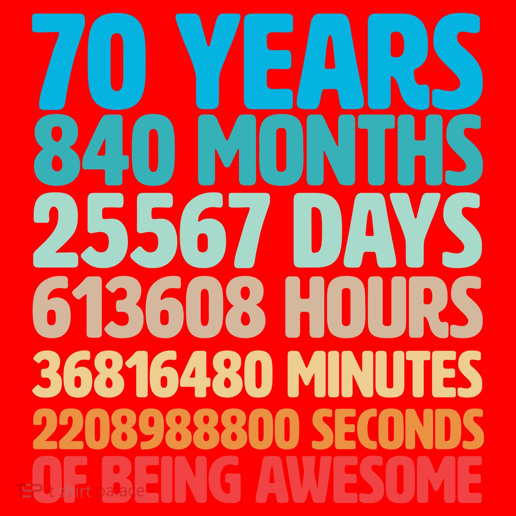 70 Years Of Being Awesome 70th Birthday Time Breakdown Santa Hat