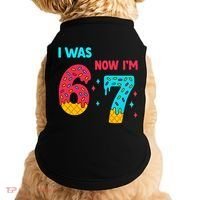 7 Year Old Birthday Was 6 Now I'm 7 67 Funny Doggie Tank thumb 0