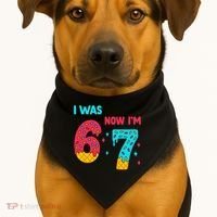 7 Year Old Birthday Was 6 Now I'm 7 67 Funny USA-Made Doggie Bandana thumb 1