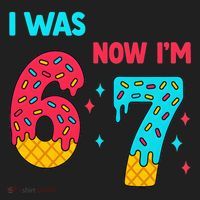 7 Year Old Birthday Was 6 Now I'm 7 67 Funny Hat thumb 2
