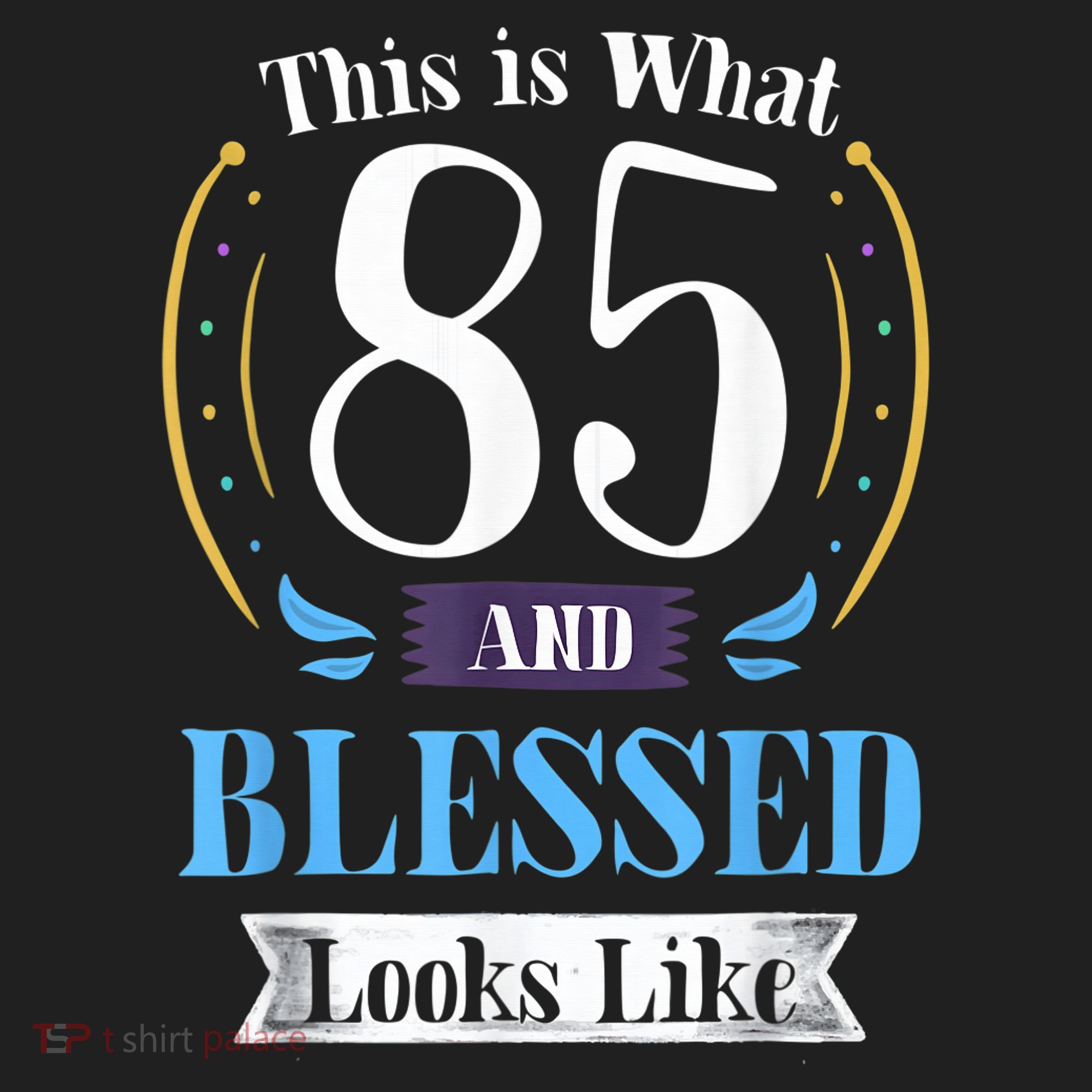 85 and Blessed 85th Birthday Gift for  Wo Shirt Tumbler