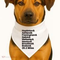 8 Boroughs Boston Running Marathon Running USA-Made Doggie Bandana thumb 1