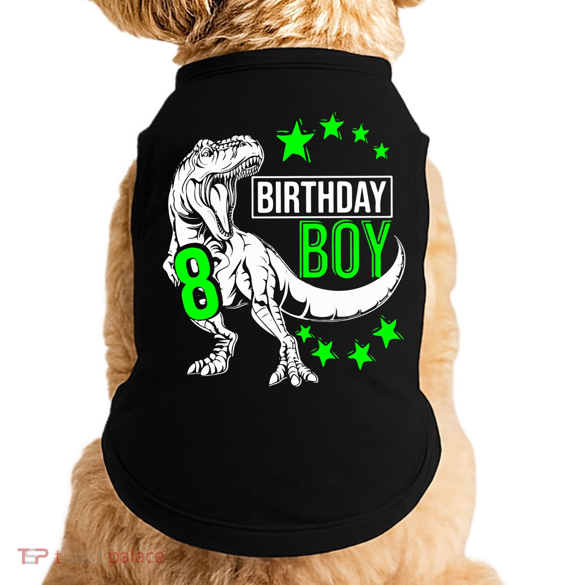8th Birthday Dinosaur Birthday Boy 8th T_rex Boys Gift For Birthday Doggie Tank