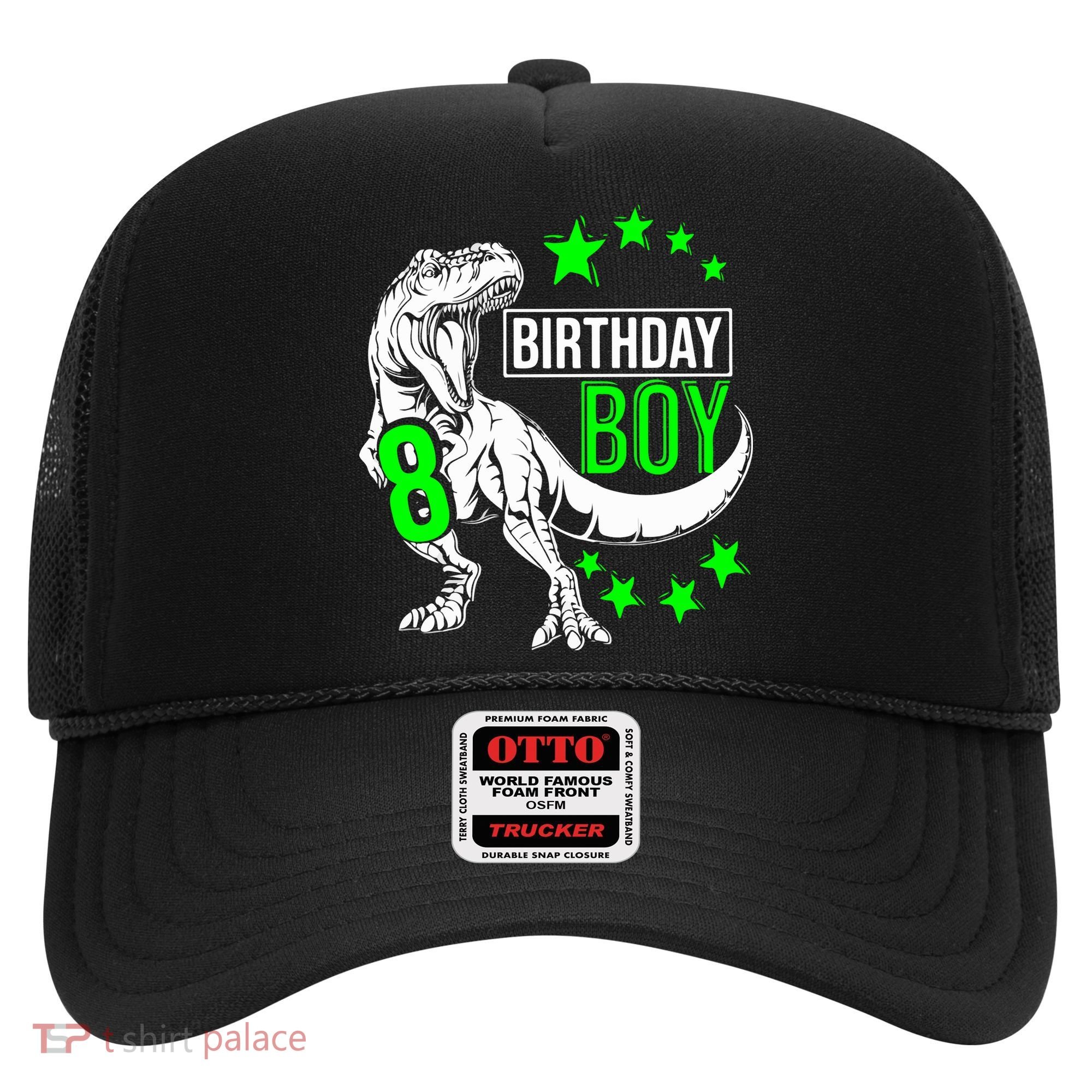8th Birthday Dinosaur Birthday Boy 8th T_rex Boys Gift For Birthday Hat