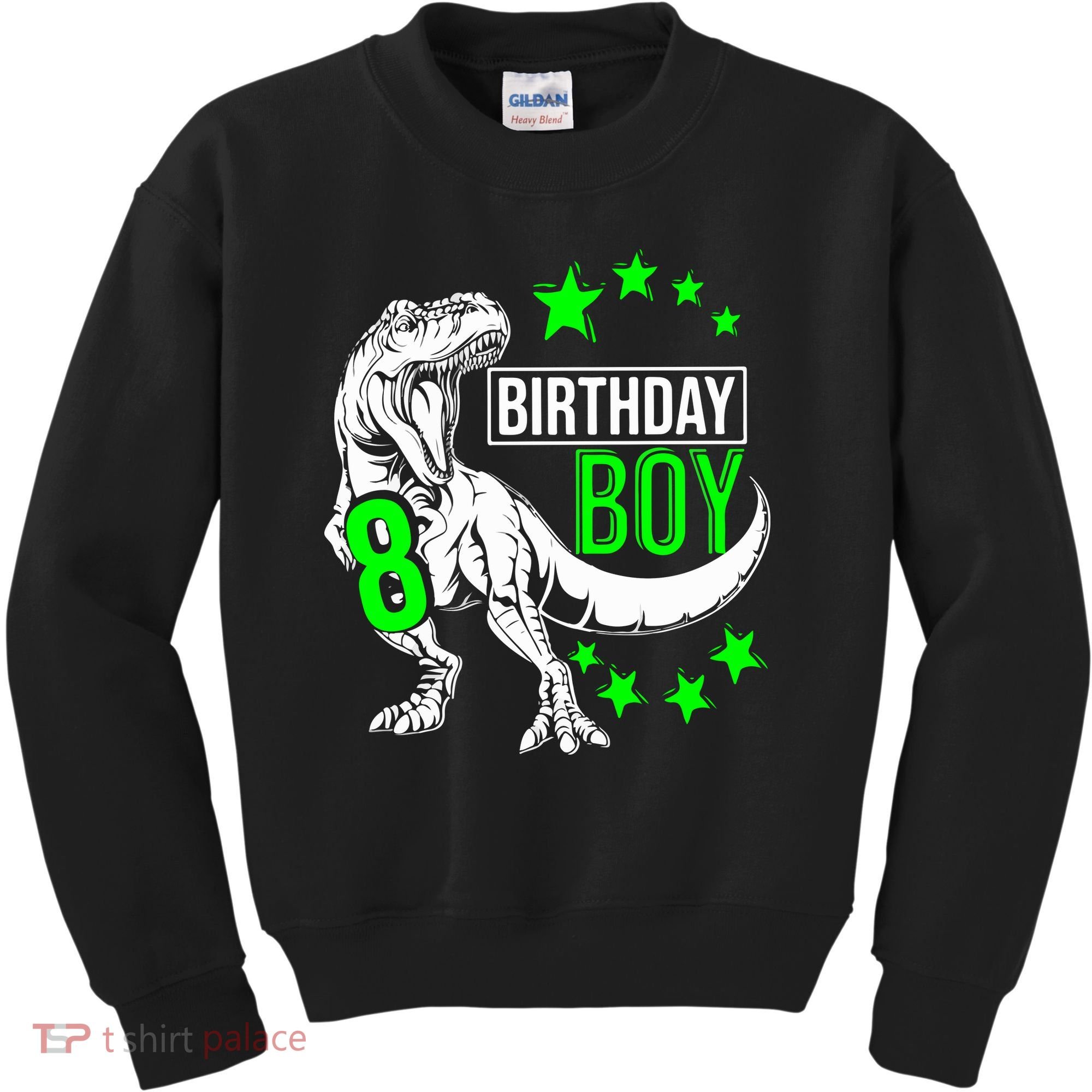 8th Birthday Dinosaur Birthday Boy 8th T_rex Boys Gift For Birthday Kids Sweatshirt
