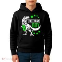 8th Birthday Dinosaur Birthday Boy 8th T_rex Boys Gift For Birthday Kids Hoodie thumb 4