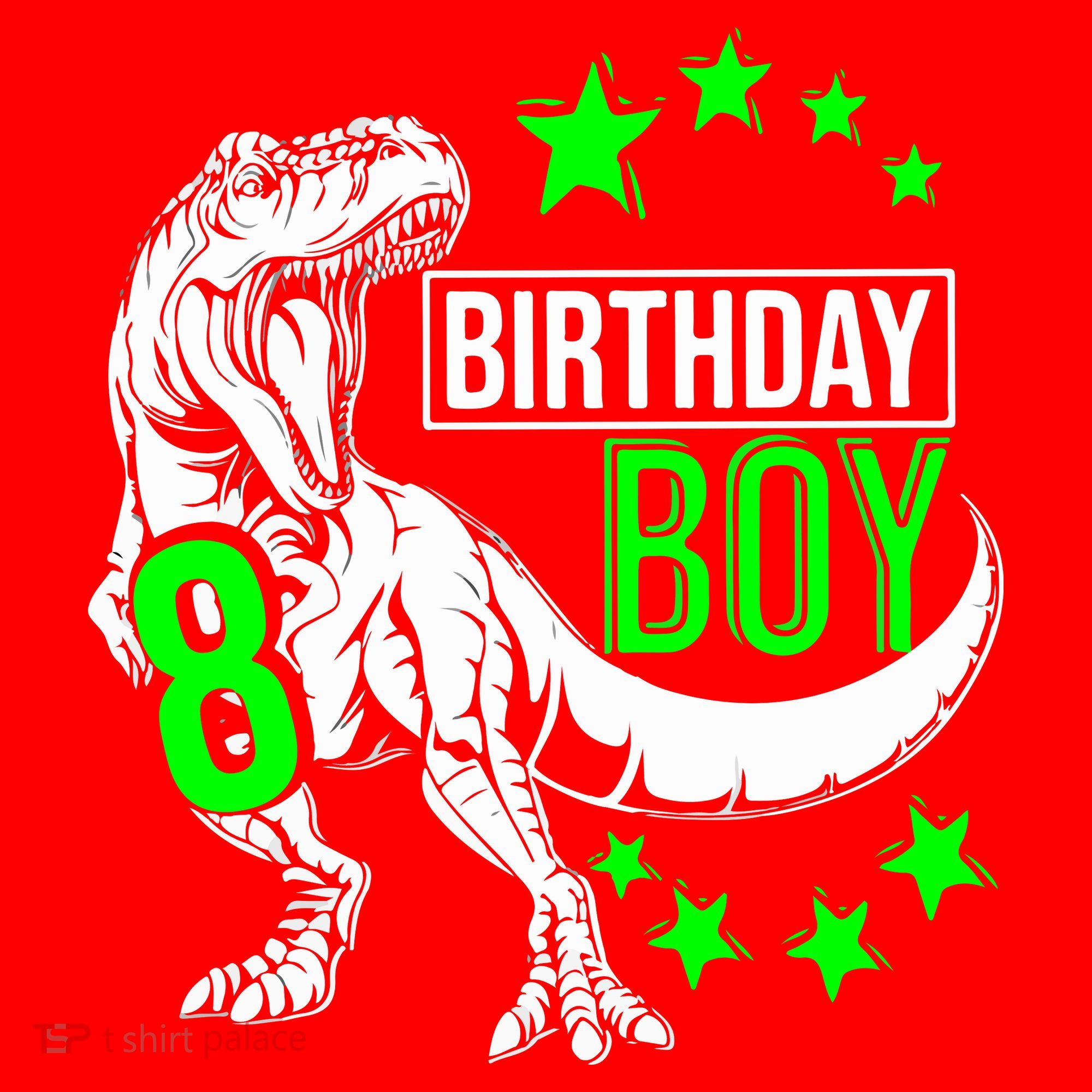 8th Birthday Dinosaur Birthday Boy 8th T_rex Boys Gift For Birthday Santa Hat