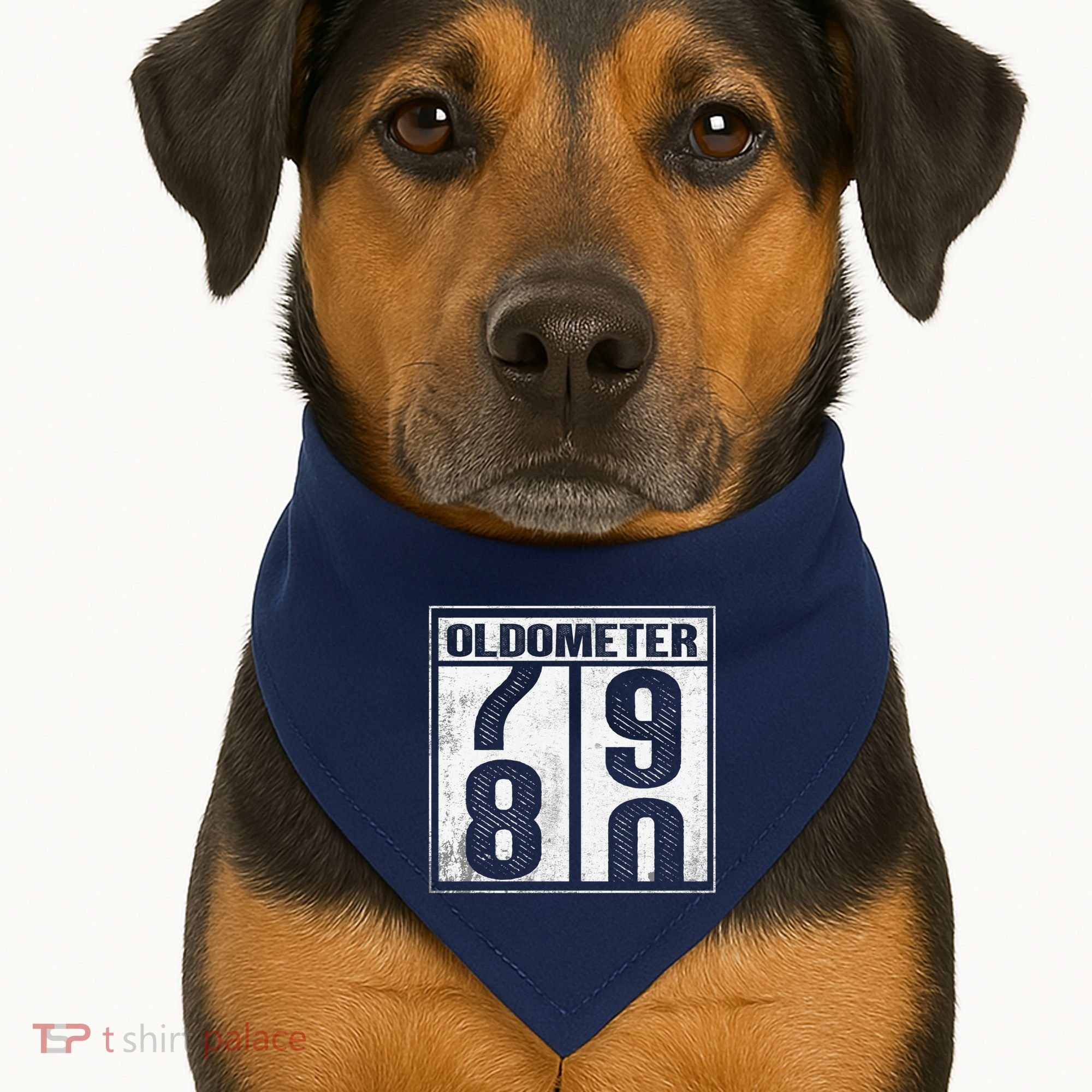 80th Birthday Eighty Years Old 80 Oldometer 7980 Retiring USA-Made Doggie Bandana