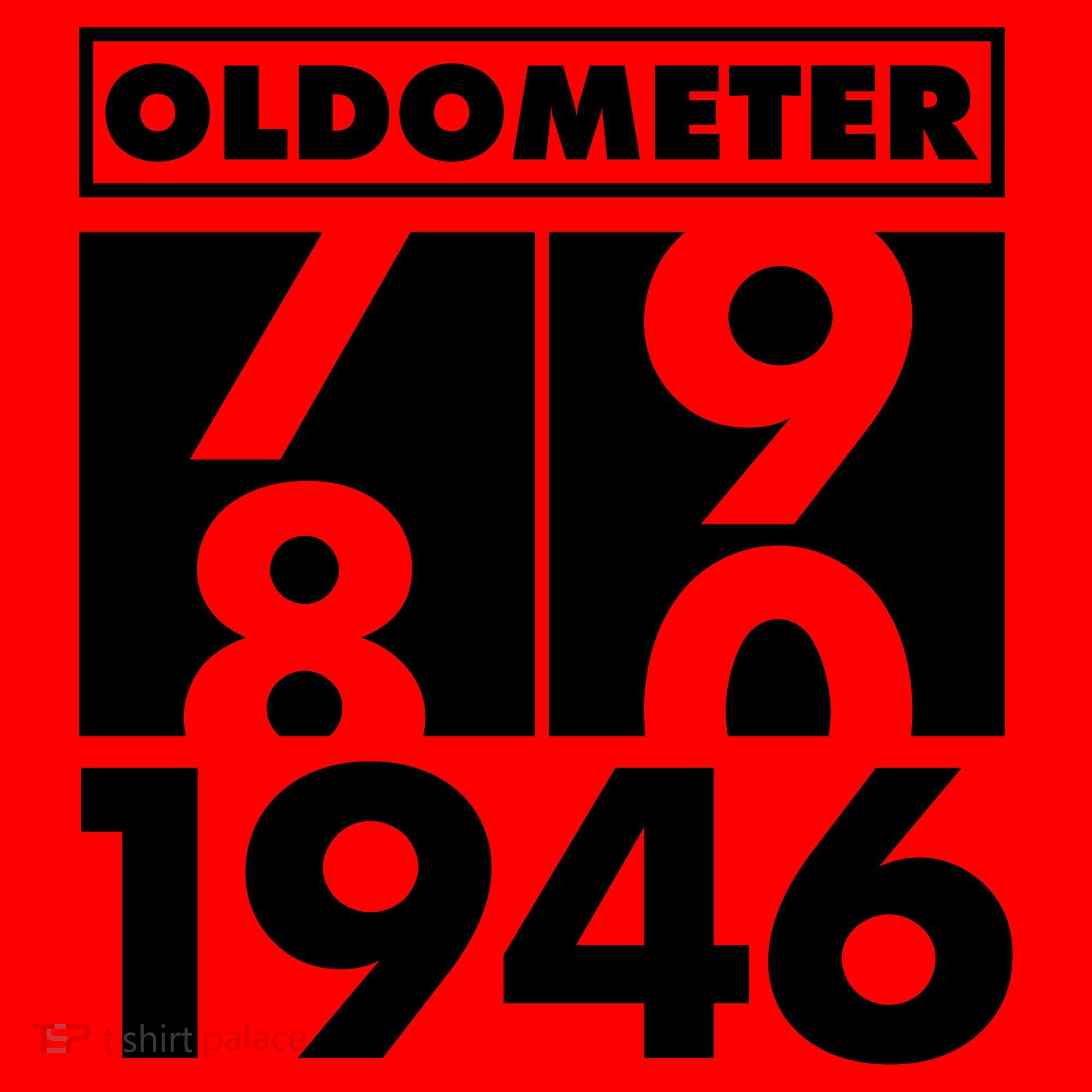 80th Birthday Oldometer 1946 Santa Hat