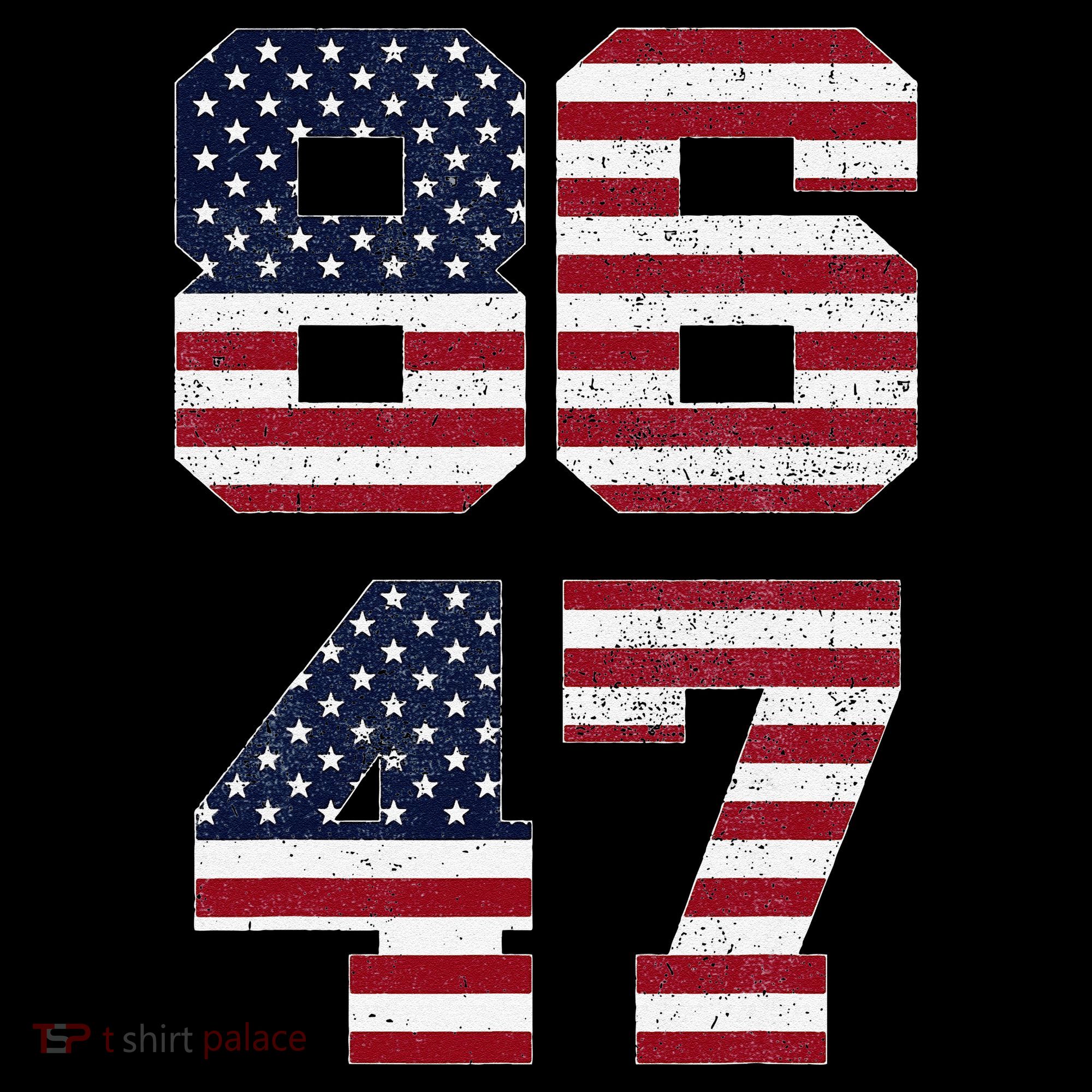 8647 Subtle Anti Funy 86 47 Retro America Flag Women's Hoodie