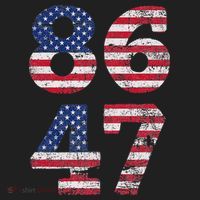8647 Subtle Anti Trump Ironic Distressed Usa Flag Beanie thumb 2
