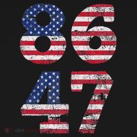 8647 Subtle Anti Trump Ironic Distressed Usa Flag Women's Hoodie thumb 2