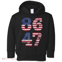 8647 Subtle Anti Trump Ironic Distressed Usa Flag Toddler Hoodie thumb 0
